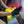 Yellow Black label cloth being used for a car detail