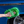 Person cleaning a blue car with a green noodle sponge